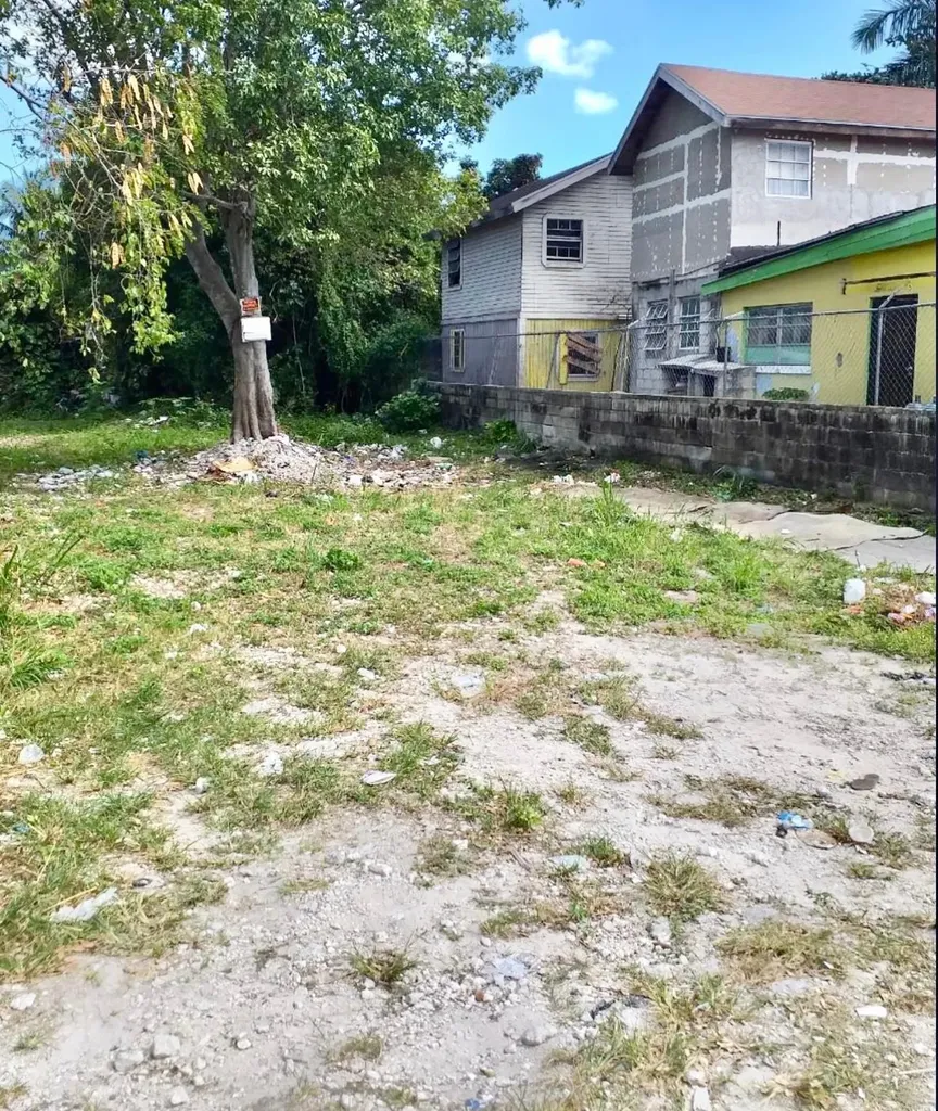 Market & Peter Street Lot 132 Lot #132 New Providence Paradise Island BS