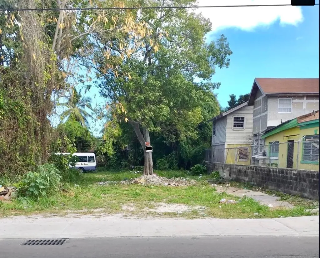 Market & Peter Street Lot 132 Lot #132 New Providence Paradise Island BS