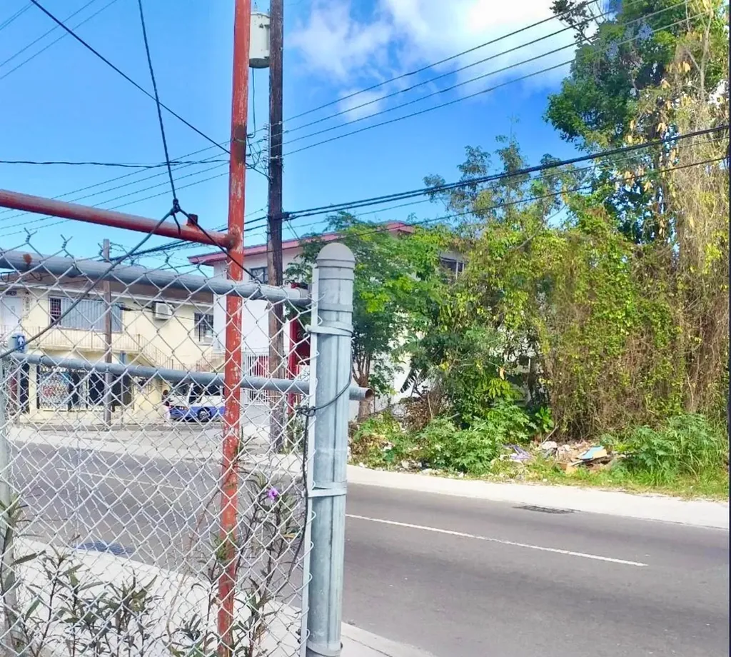 Market & Peter Street Lot 132 Lot #132 New Providence Paradise Island BS