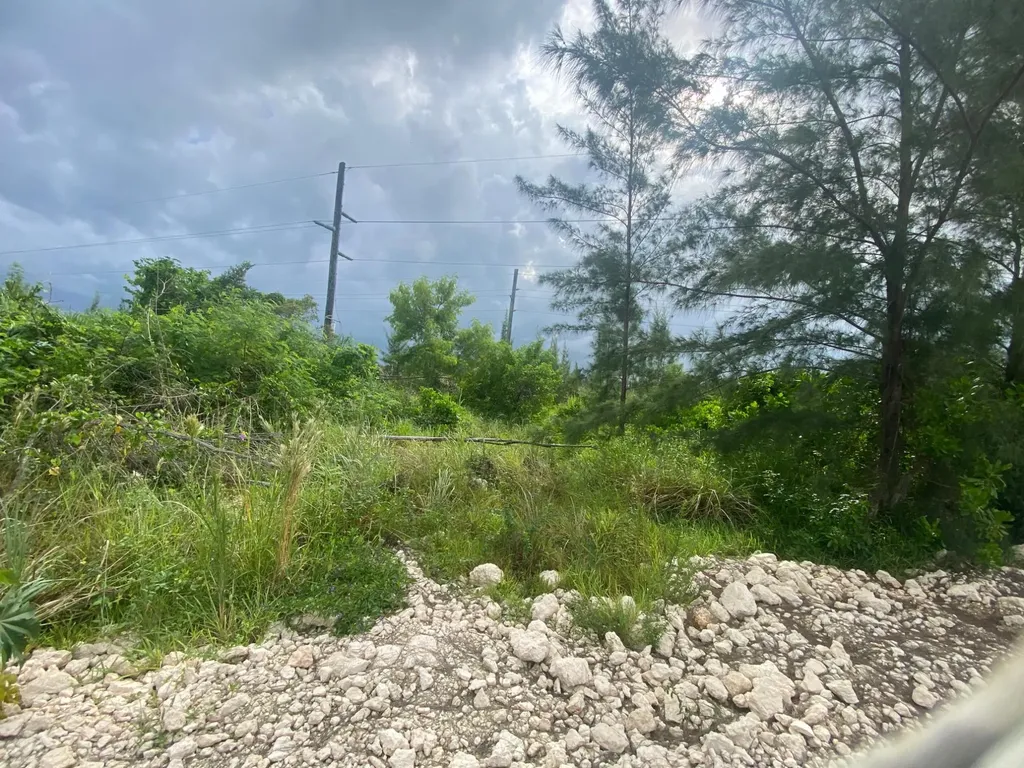 Aip New Providence Paradise Island BS