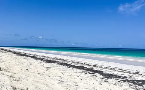 Windermere Island Eleuthera BS