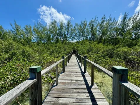 Windermere Island Eleuthera BS