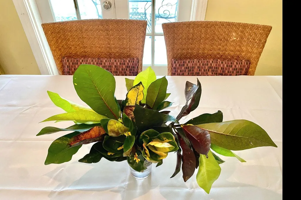 Thatch Tree House Eleuthera BS