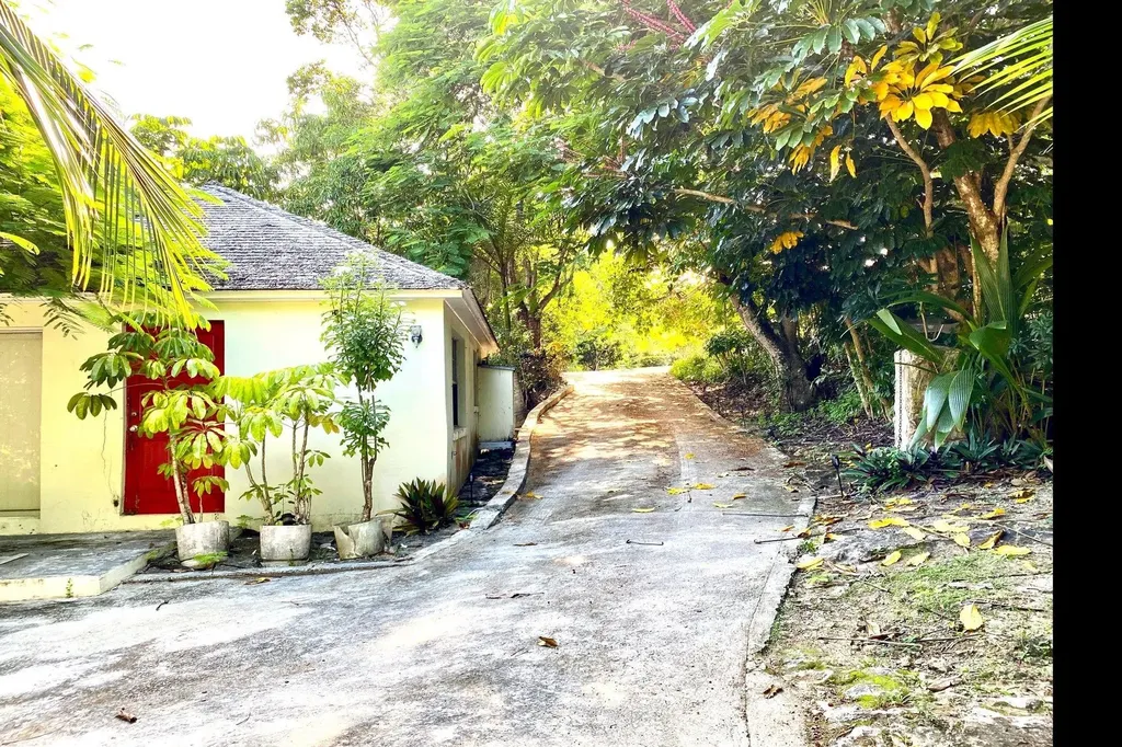 Thatch Tree House Eleuthera BS