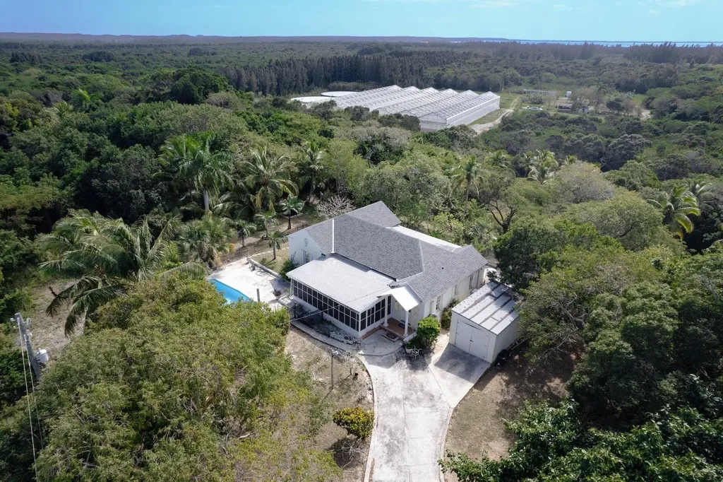 Thatch Tree House Eleuthera BS