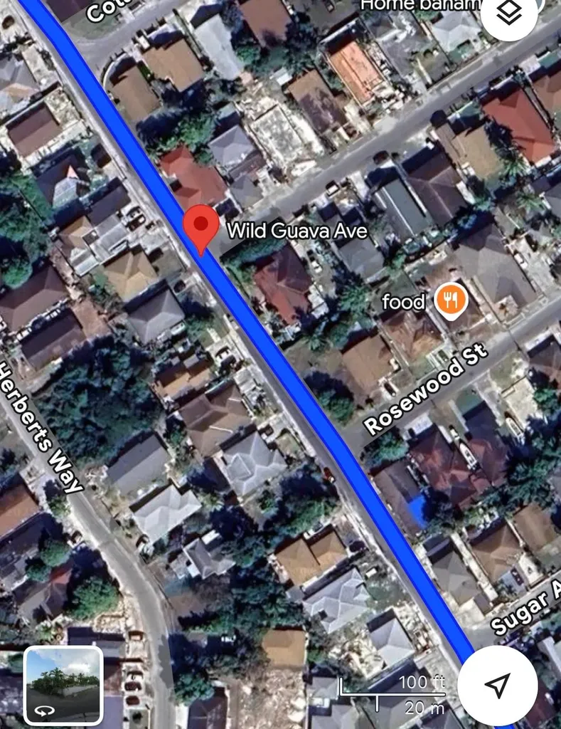 Wild Guava 34 New Providence Paradise Island BS