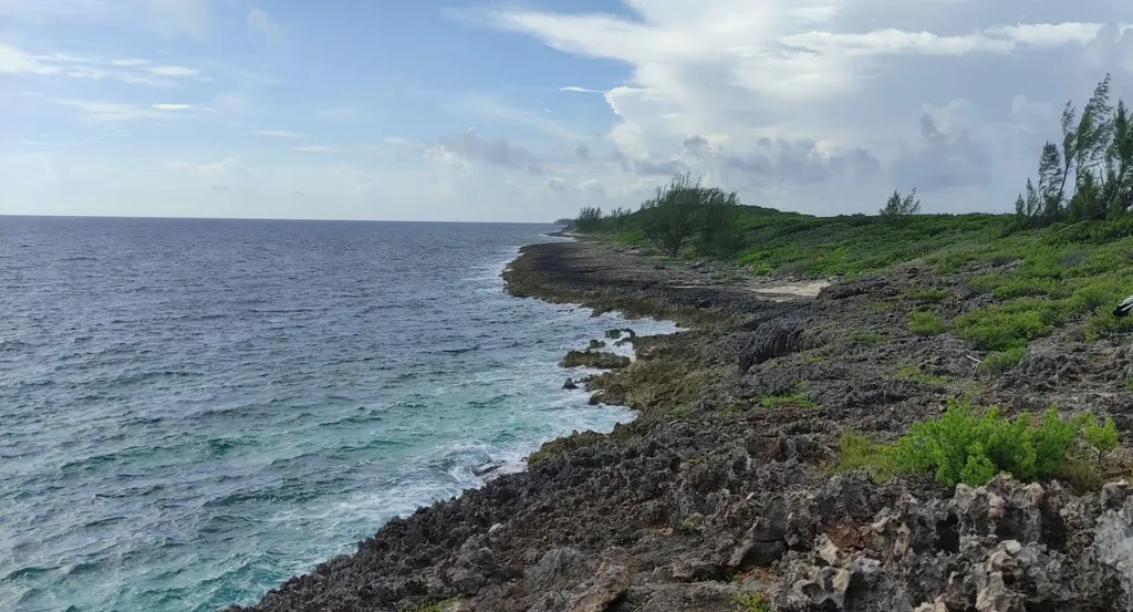 Morgan's Drive (bluff Road) Andros BS