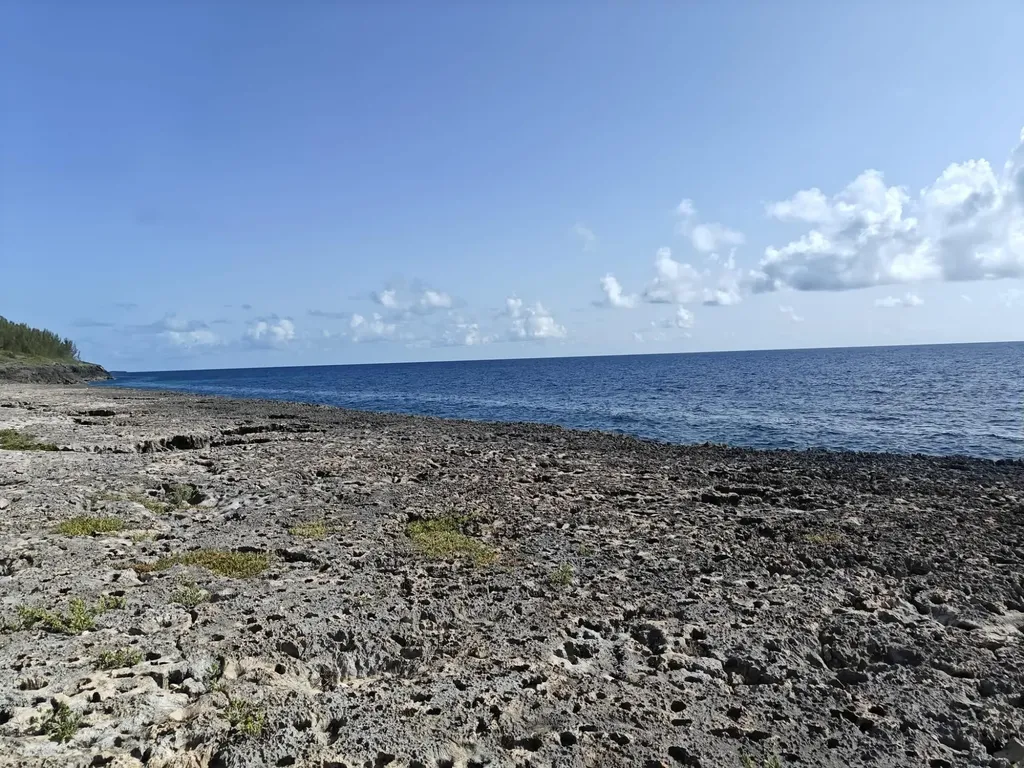 Morgan's Drive (bluff Road) Andros BS