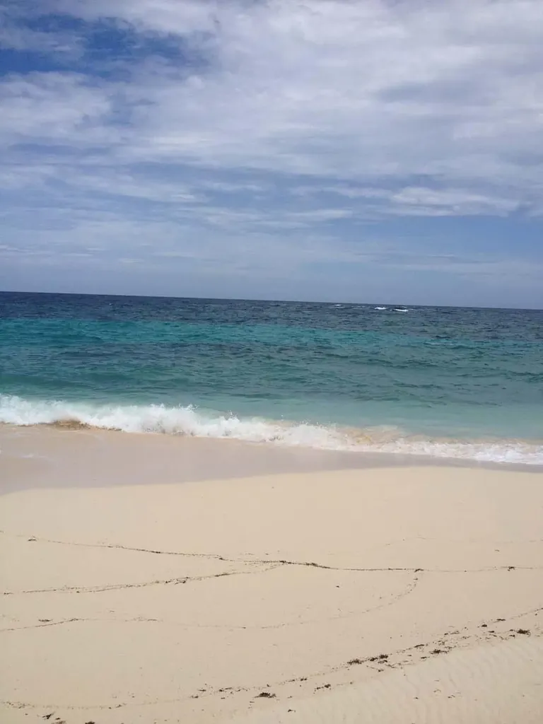 Joe Bookie Bay Abaco BS