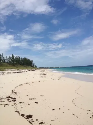 Joe Bookie Bay Abaco BS