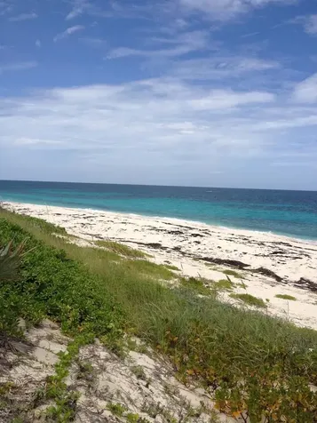 Joe Bookie Bay Abaco BS