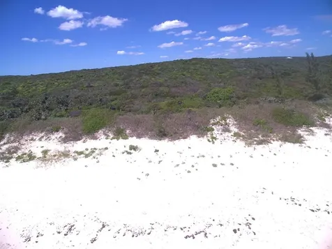 Joe Bookie Bay Abaco BS