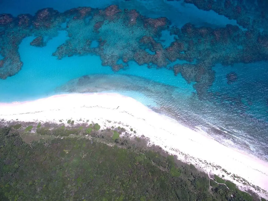 Joe Bookie Bay Abaco BS