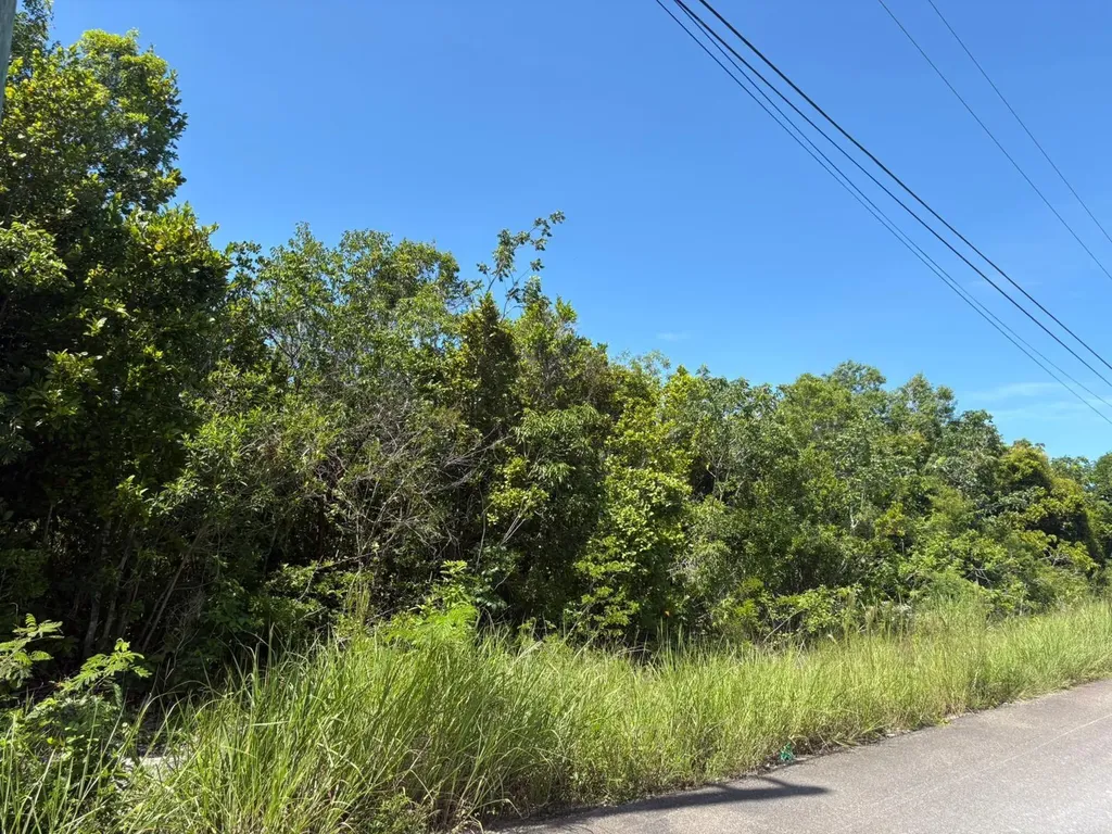 Off Adelaide Beach Road New Providence Paradise Island BS