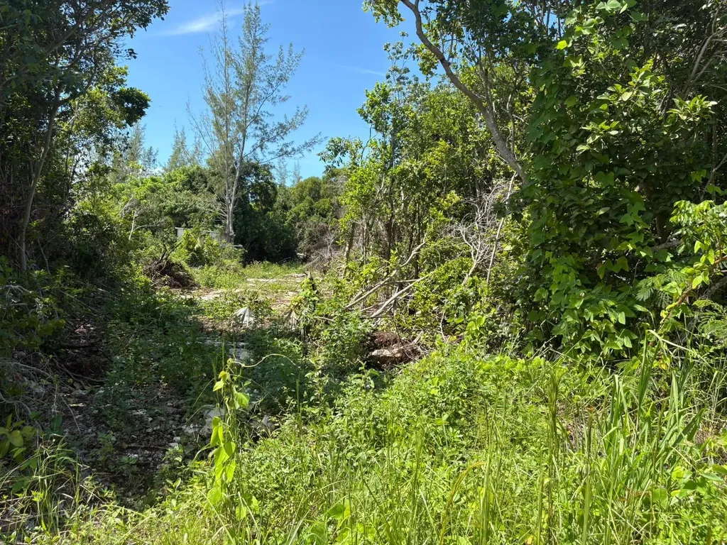 Off Adelaide Beach Road New Providence Paradise Island BS