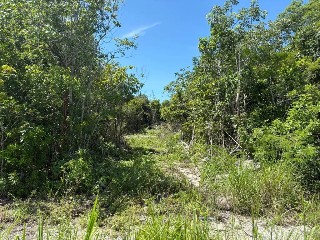 Off Adelaide Beach Road New Providence Paradise Island BS