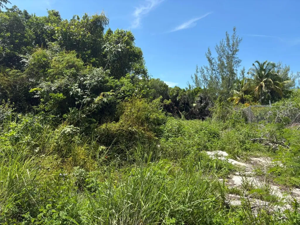 Off Adelaide Beach Road New Providence Paradise Island BS