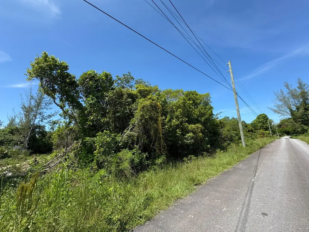 Off Adelaide Beach Road New Providence Paradise Island BS