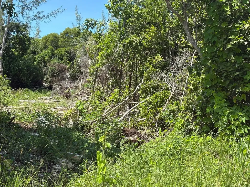 Off Adelaide Beach Road New Providence Paradise Island BS