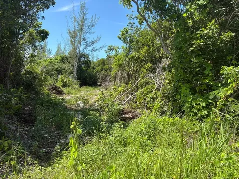 Off Adelaide Beach Road New Providence Paradise Island BS