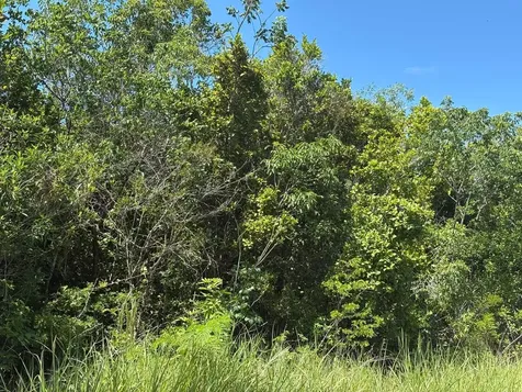 Off Adelaide Beach Road New Providence Paradise Island BS