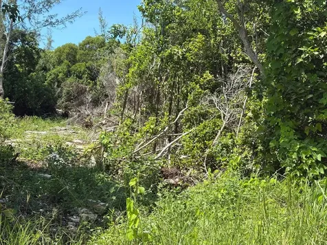 Off Adelaide Beach Road New Providence Paradise Island BS