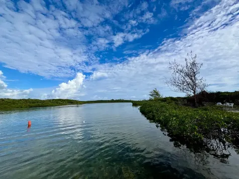 Great Harbour Cay Berry Islands BS