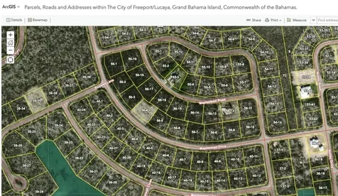 40-8 Maplestead Drive Grand Bahama Freeport BS