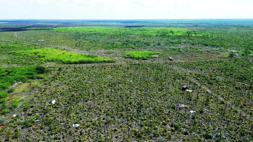 Lucaya Estates Grand Bahama Freeport BS