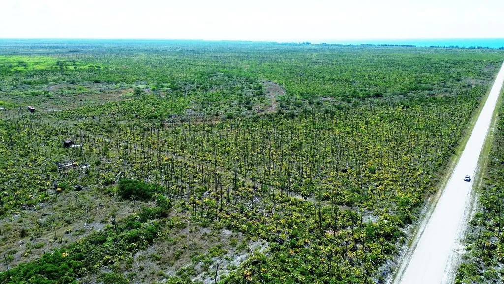 Lucaya Estates Grand Bahama Freeport BS