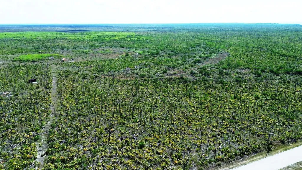 Lucaya Estates Grand Bahama Freeport BS