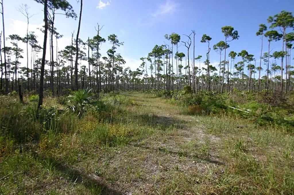 Lucaya Estates Grand Bahama Freeport BS