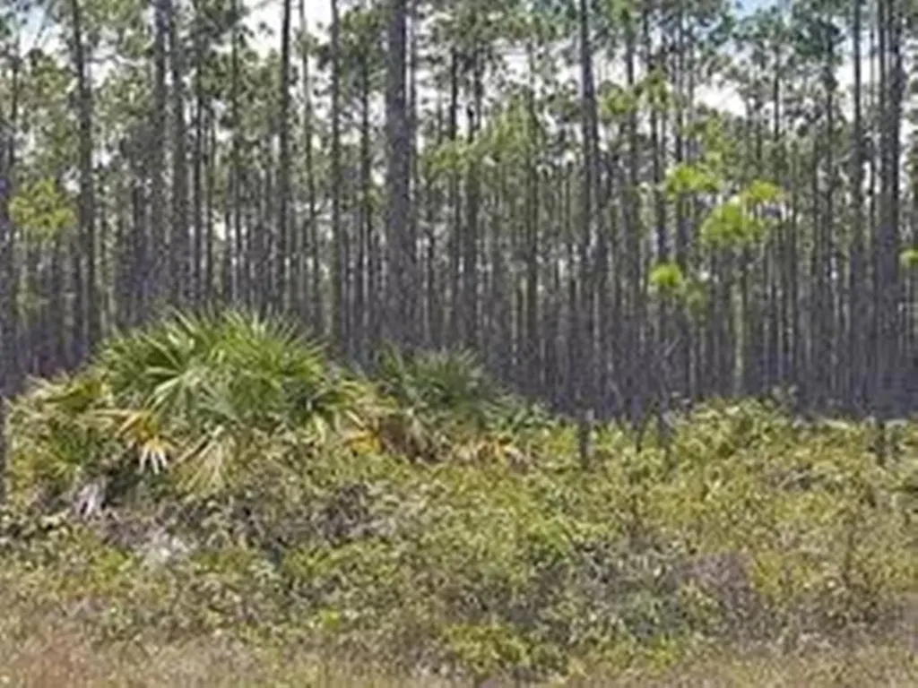 Lucaya Estates Grand Bahama Freeport BS