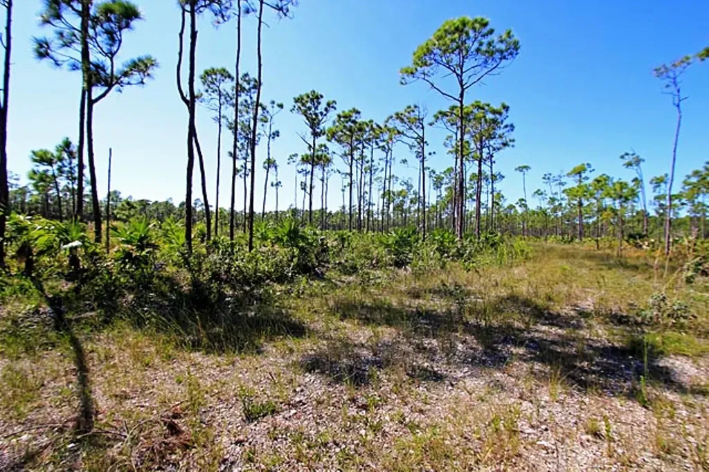 Lucaya Estates Grand Bahama Freeport BS