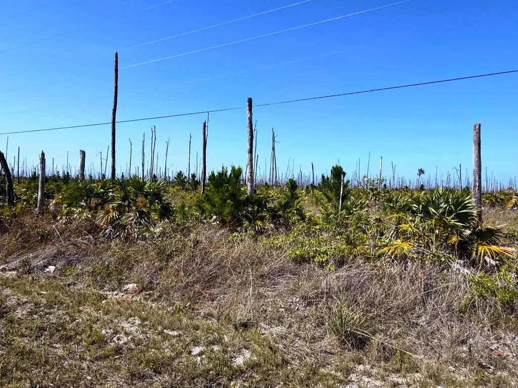 Lucaya Estates Grand Bahama Freeport BS