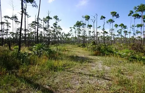 Lucaya Estates Grand Bahama Freeport BS