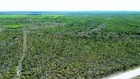 Lucaya Estates Grand Bahama Freeport BS