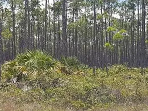 Lucaya Estates Grand Bahama Freeport BS