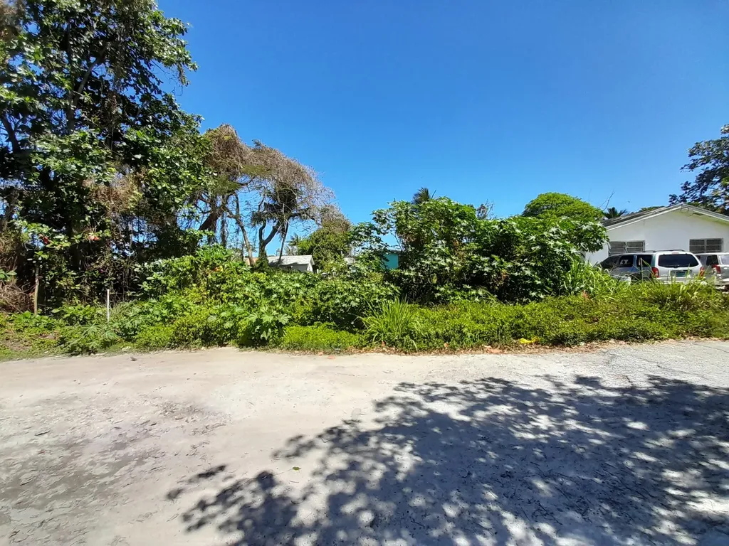 Baldwin Avenue New Providence Paradise Island BS