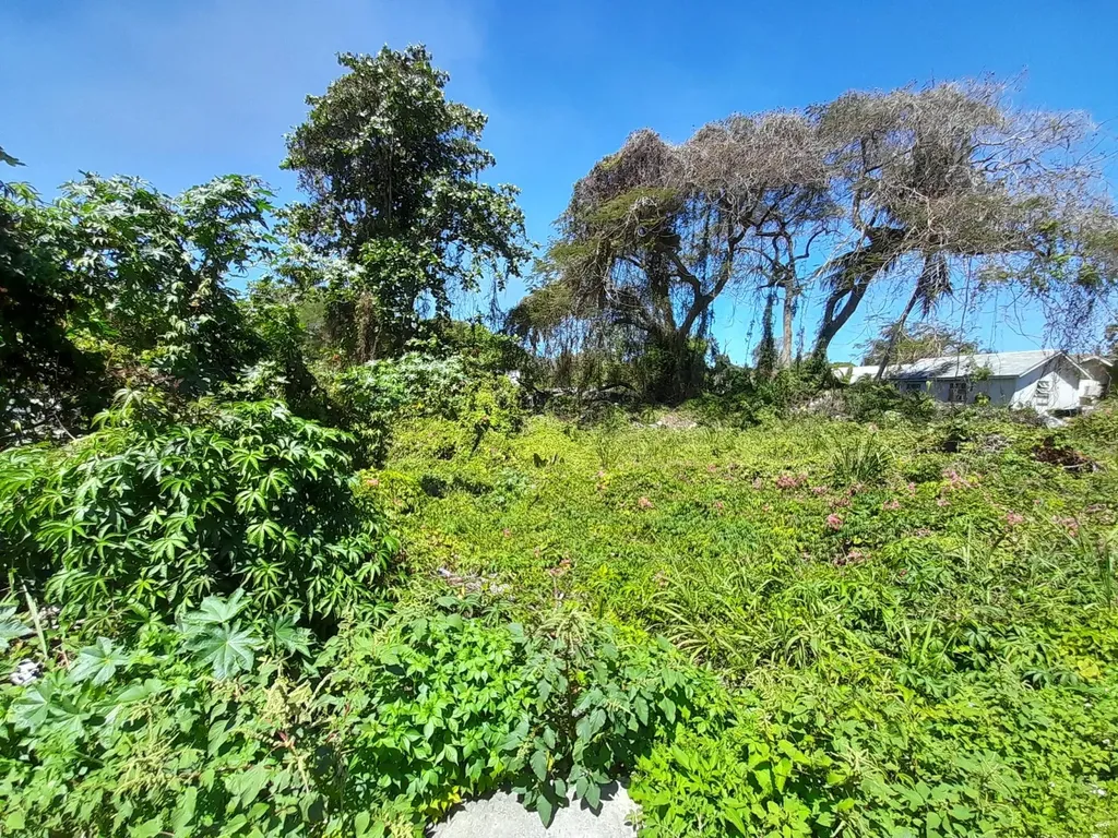 Baldwin Avenue New Providence Paradise Island BS