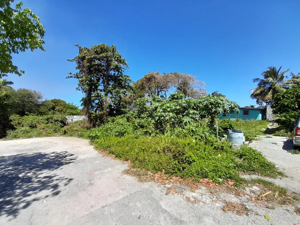 Baldwin Avenue New Providence Paradise Island BS