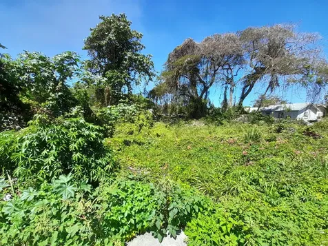 Baldwin Avenue New Providence Paradise Island BS