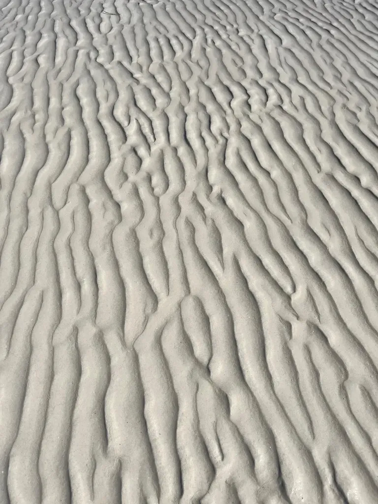 Calypso Cottage Abaco BS