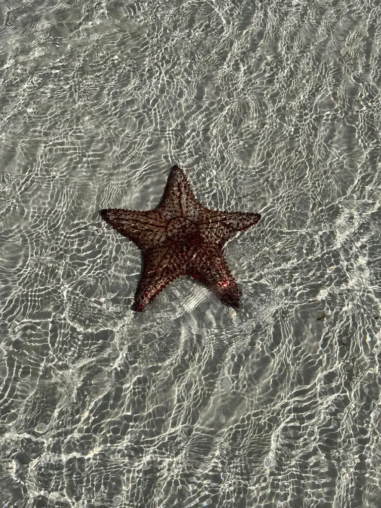 Calypso Cottage Abaco BS