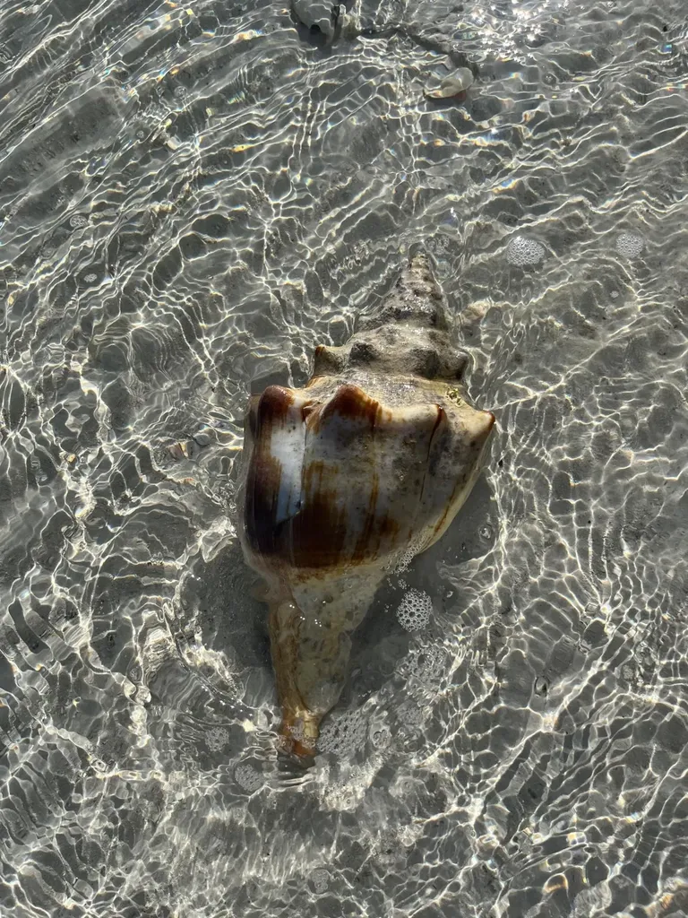 Calypso Cottage Abaco BS