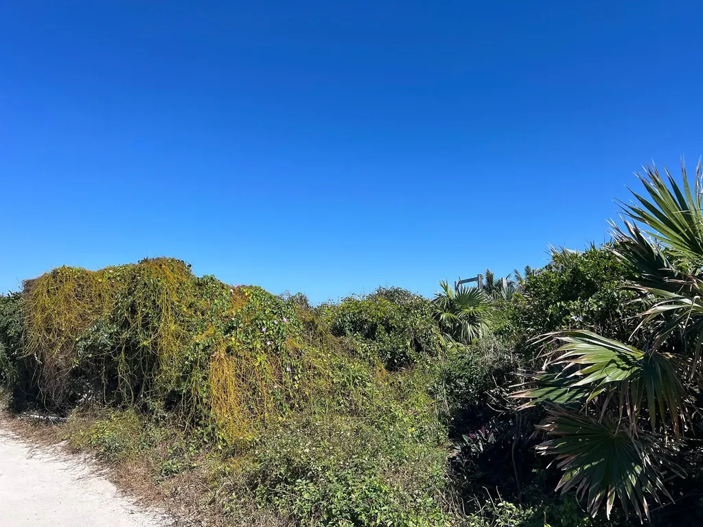 Ocean Ridge Estates Lot Abaco BS