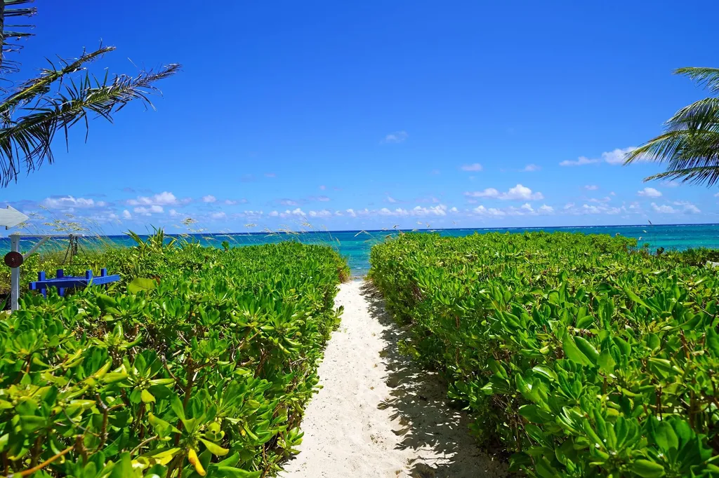 West Bay Street New Providence Paradise Island BS