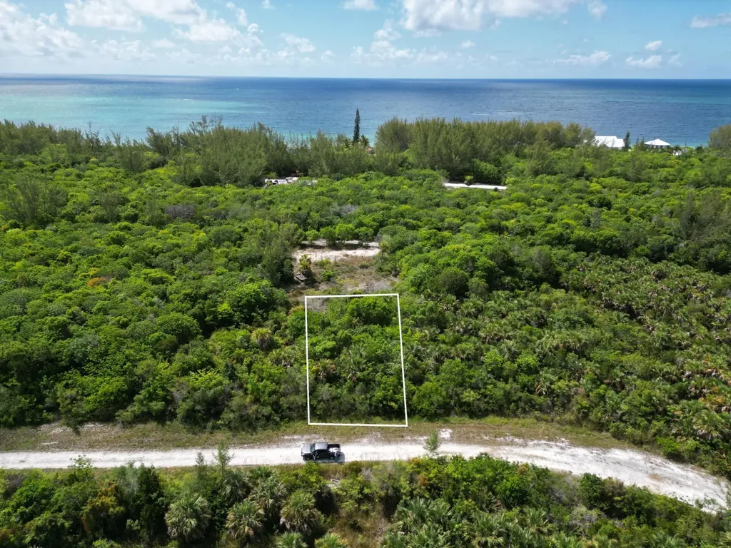 Winding Road 21 Abaco BS