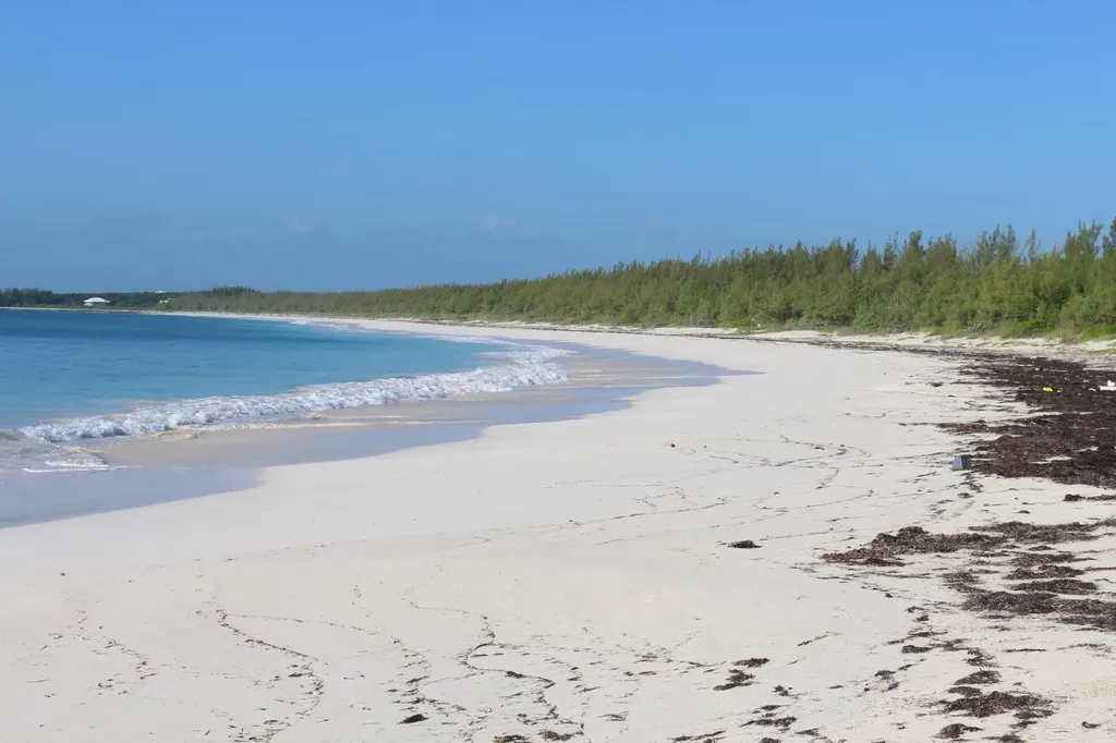 Winding Road 21 Abaco BS