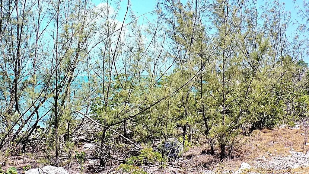 Salt Pond Waterfront Long Island BS